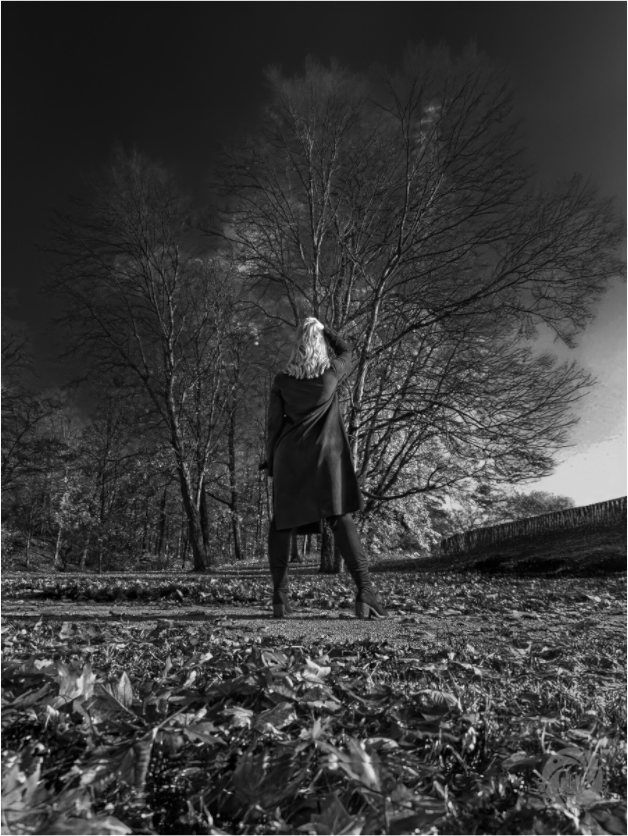 Main image Herbstspaziergang